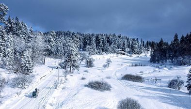 Кумариташвили 17_3