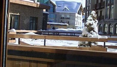 Белый тигр в новый гудаури II_2