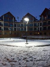 Белый тигр в новый гудаури II_3