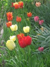 Гостевой дом 14_6