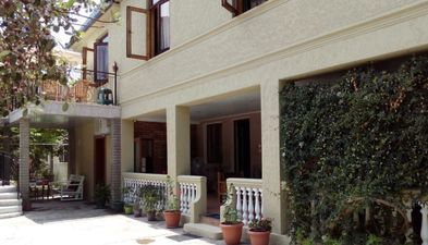 Агмашенебели N229_7