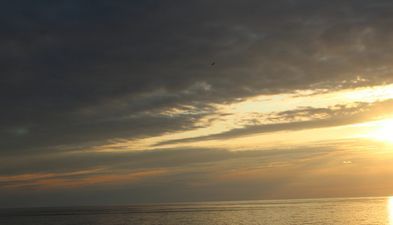 Апартаменты Орби Резиденс_5