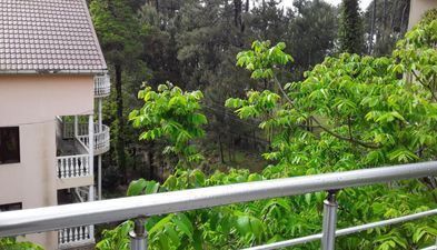 Черноморская мечта_7