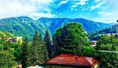 Апартамент в Боржоми_2