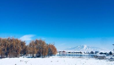 Тбили Сахли_2