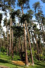 Ликани-Хаус_7