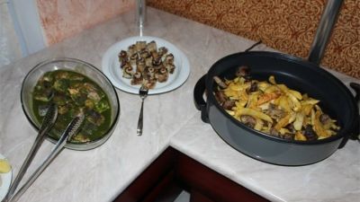 Тревел Инн Бакуриани_8