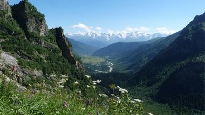 Дали Калдани_3