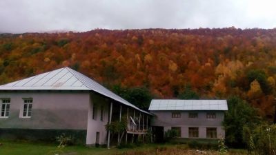 Дали Калдани_8