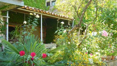 Нели Телави_6