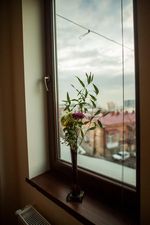 Старый забор_3