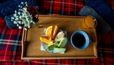 Старый забор_5