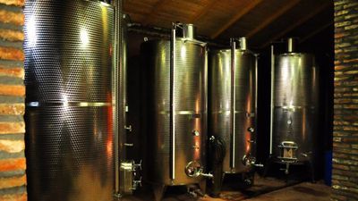 Погреб Шалошвили_7