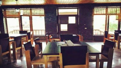 Никала Местиа_5