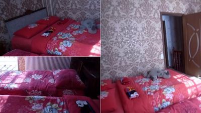 Он Руставели_8