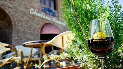 Шато Кварели_6