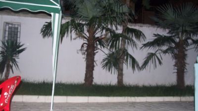 Зелёный Дом_2