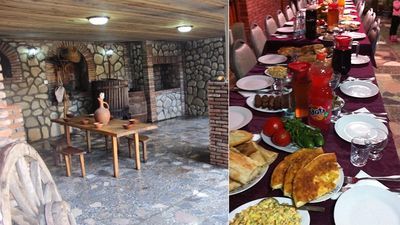 Дзнеладзе_3