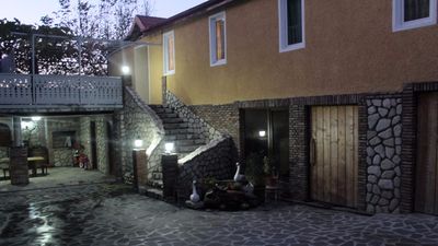 Дзнеладзе_4