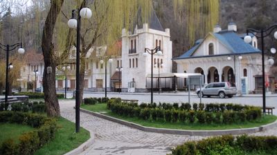 Апартамент Боржоми Централ Парк 1_3