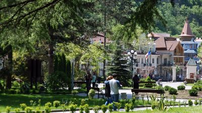 Апартамент Боржоми Централ Парк 1_5