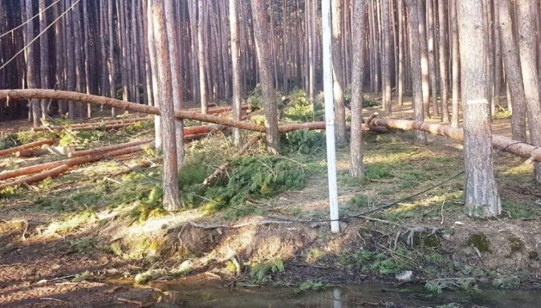 Коттедж Сурами — Фото 2