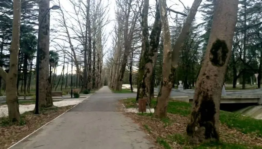 Лела — Фото 1