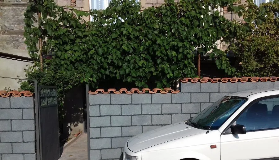 АЛДА — Фото 3