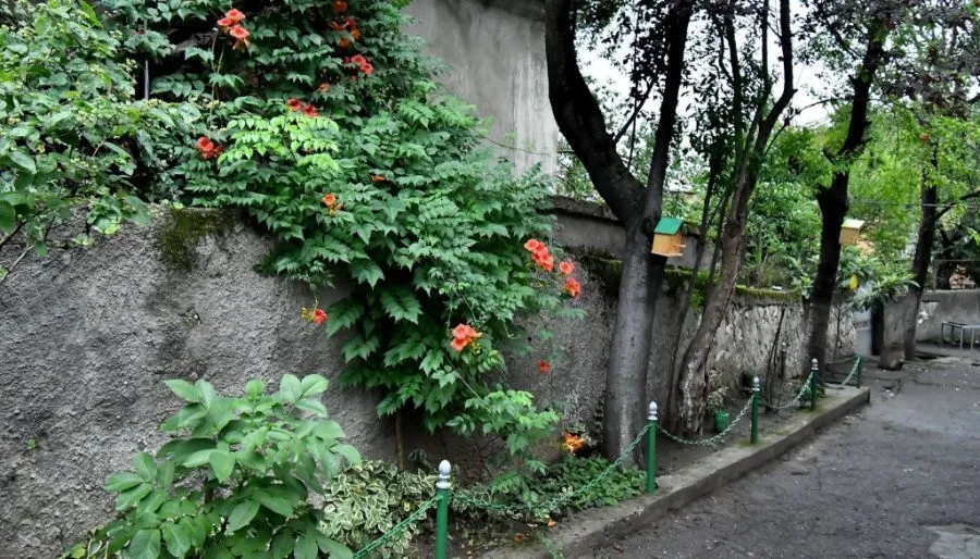 В гостях у друзей — Фото 2