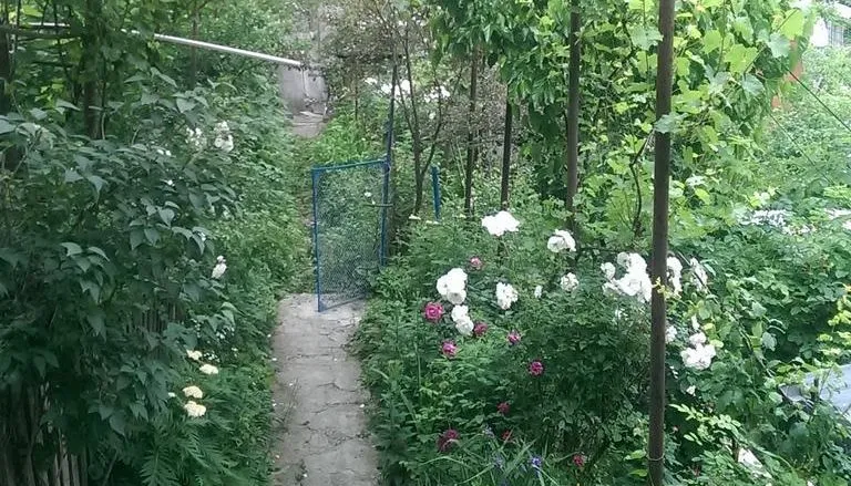 Боржоми-Нуа — Фото 2
