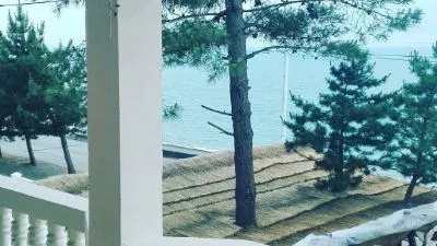 Мате Хаус