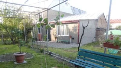 Дом Нино — Фото 5