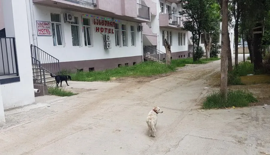 ГОСТИНИЦА  ГОЛДЕН СТАР — Фото 2