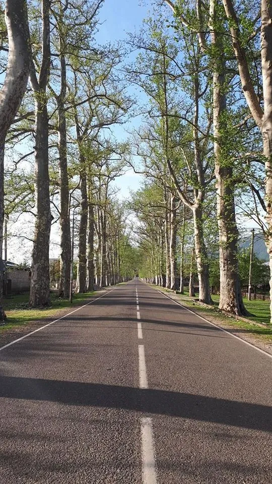 Колха Джорджиа — Фото 5