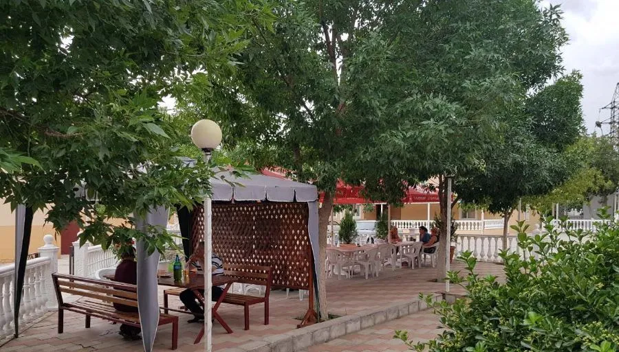 селика (серго) — Фото 1