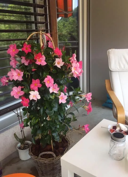Friendly guest house — Фото 10