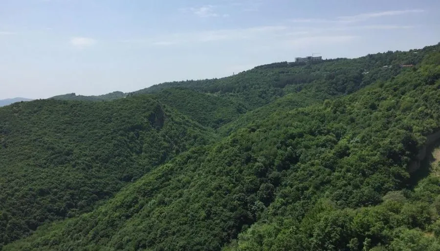 Панорама — Фото 1