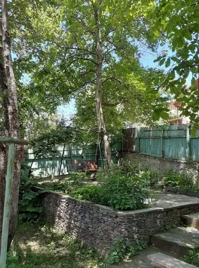 Торели