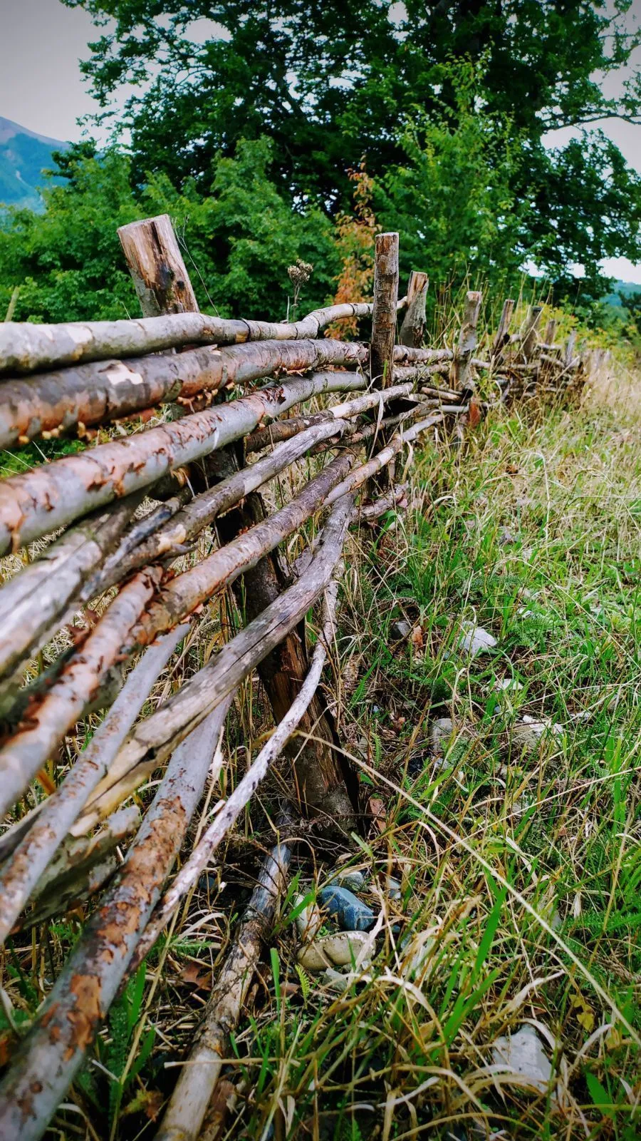Панорама плюс — Фото 10