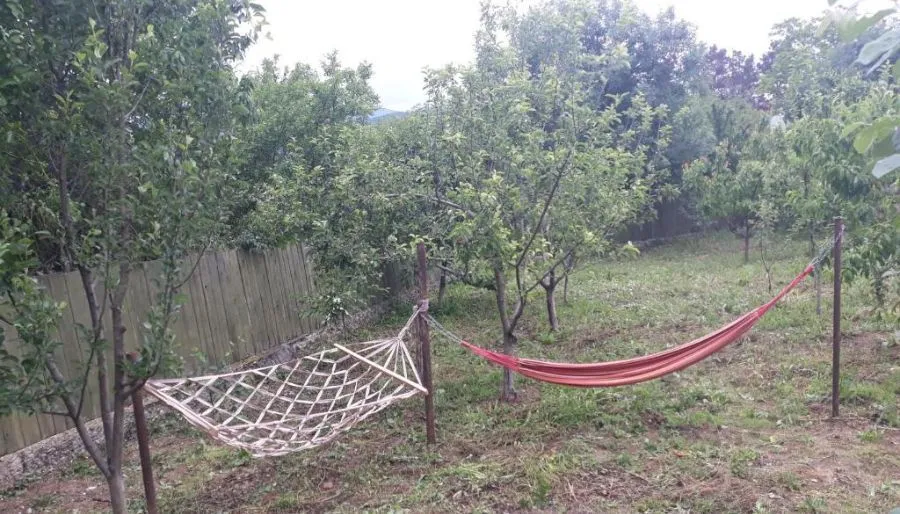 Уджарма Комфорт — Фото 4