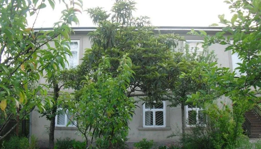Guest House on Kiacheli — Фото 12