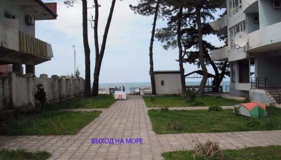 Зелёный Дом — Фото 2