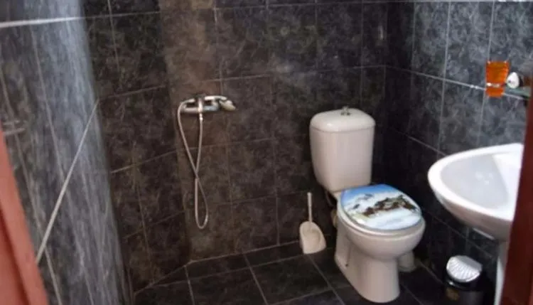 Отель Дружба — Фото 28