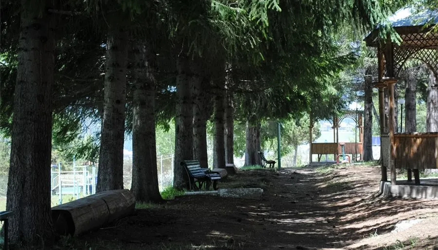 Бакуриани Ризортс — Фото 42