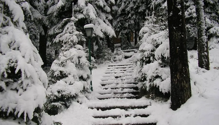 Самта Нуниси — Фото 2