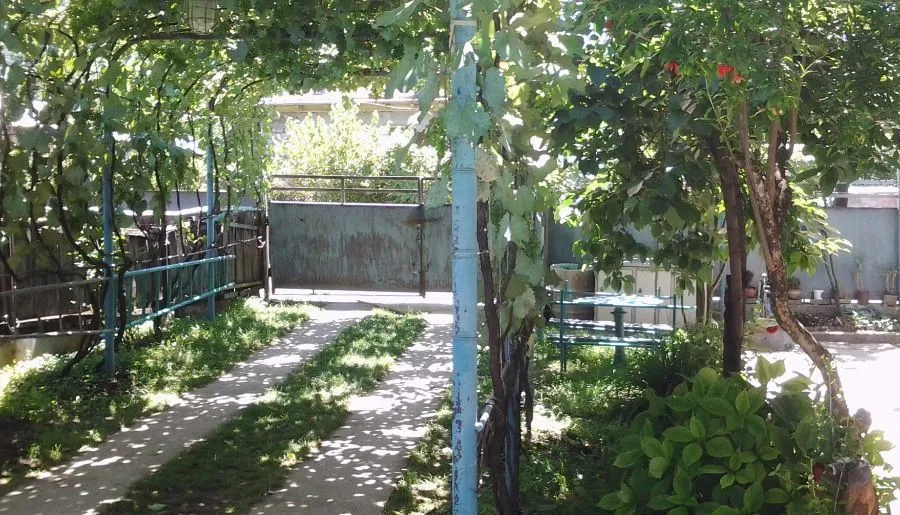 Гугиа — Фото 10
