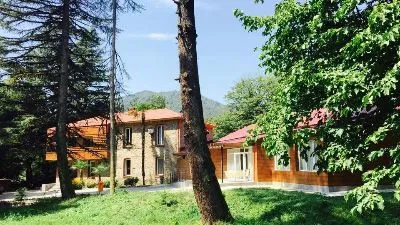Валд Отель Лагодехи