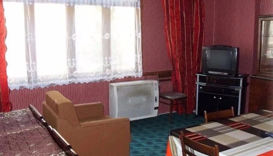 Апартамент Боржоми — Фото 1