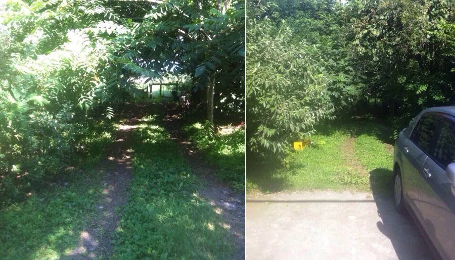 Агмашенебели 488 — Фото 2