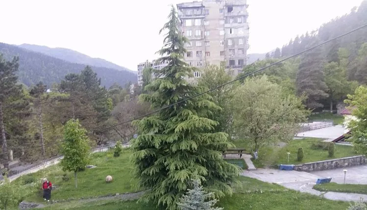Гестхаус Ломидзе — Фото 1
